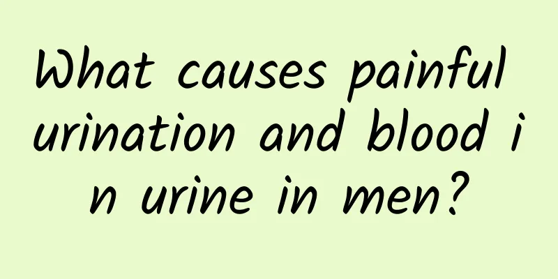 What causes painful urination and blood in urine in men?