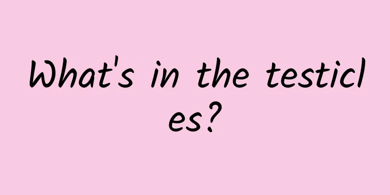 What's in the testicles?