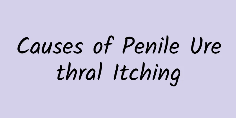 Causes of Penile Urethral Itching