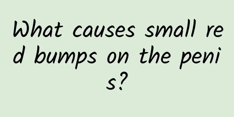 What causes small red bumps on the penis?