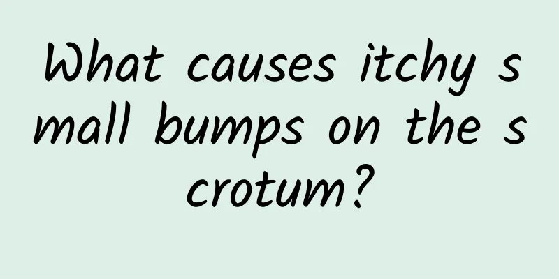 What causes itchy small bumps on the scrotum?