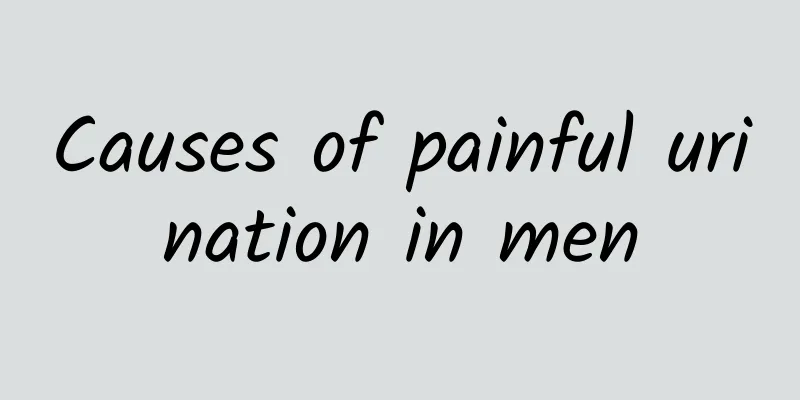Causes of painful urination in men