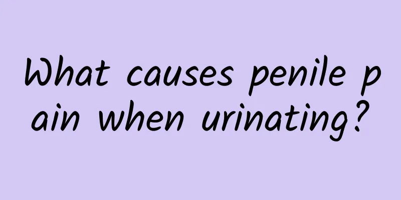 What causes penile pain when urinating?