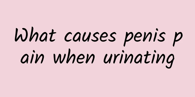 What causes penis pain when urinating