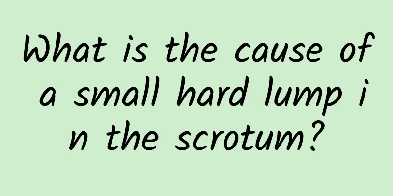 What is the cause of a small hard lump in the scrotum?