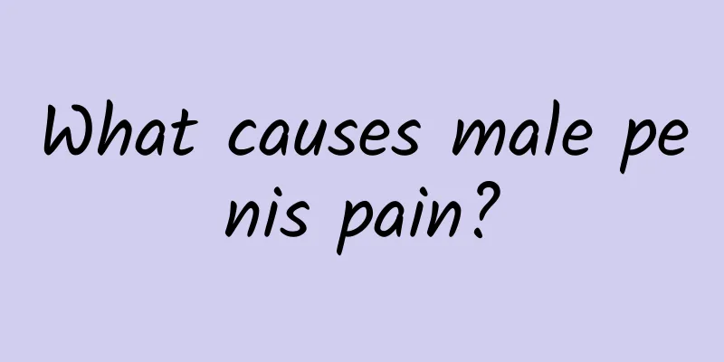 What causes male penis pain?