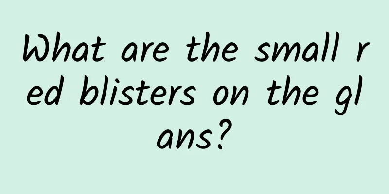 What are the small red blisters on the glans?