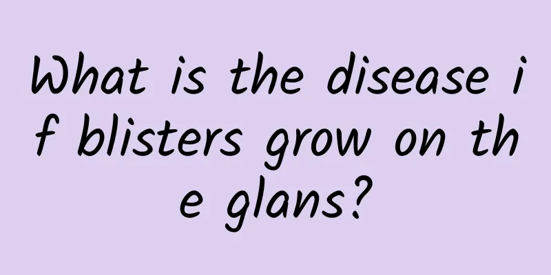 What is the disease if blisters grow on the glans?