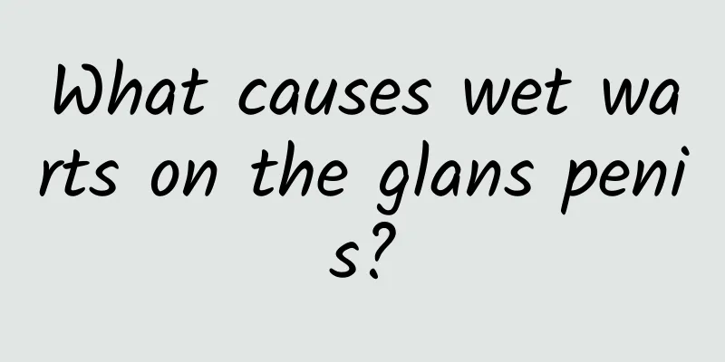 What causes wet warts on the glans penis?