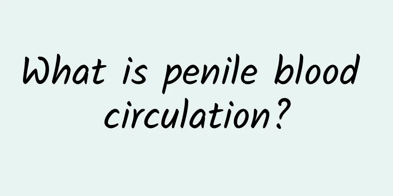 What is penile blood circulation?