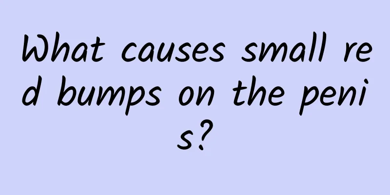 What causes small red bumps on the penis?