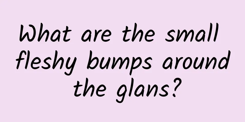 What are the small fleshy bumps around the glans?
