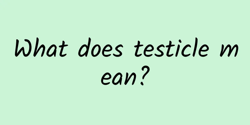 What does testicle mean?