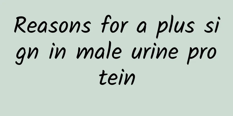 Reasons for a plus sign in male urine protein