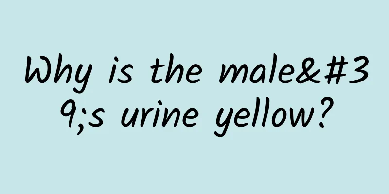 Why is the male's urine yellow?