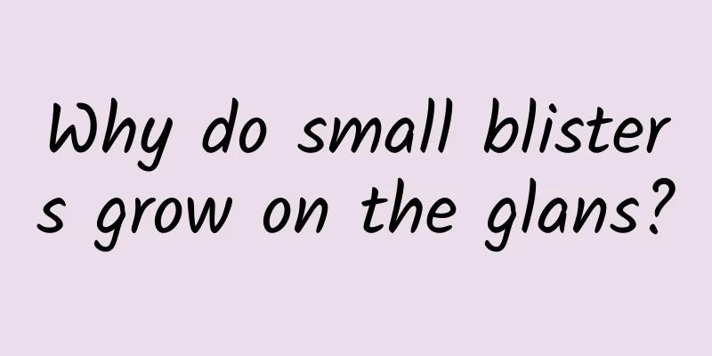 Why do small blisters grow on the glans?