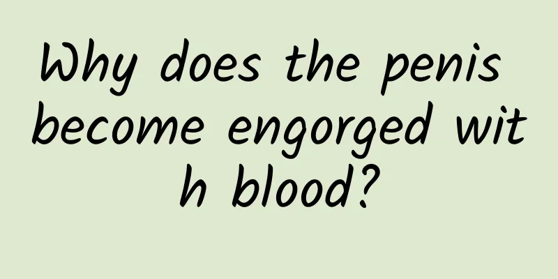 Why does the penis become engorged with blood?