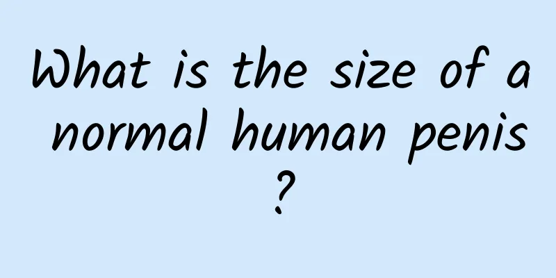 What is the size of a normal human penis?