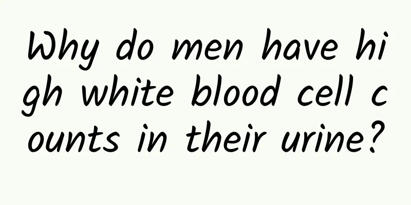 Why do men have high white blood cell counts in their urine?