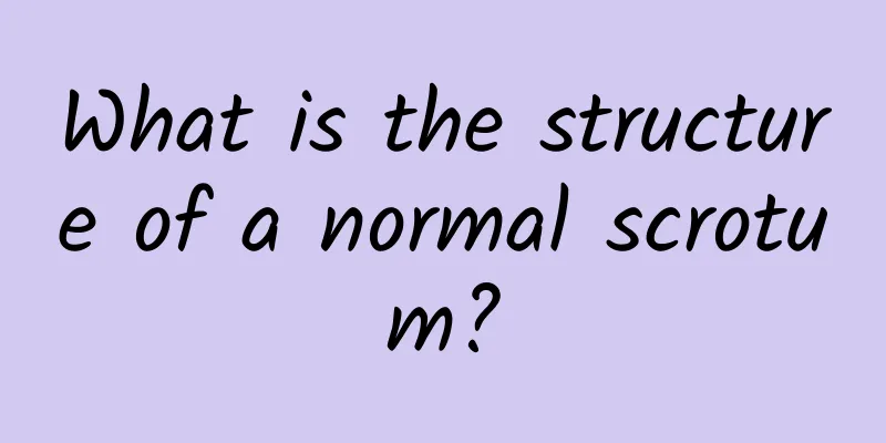 What is the structure of a normal scrotum?