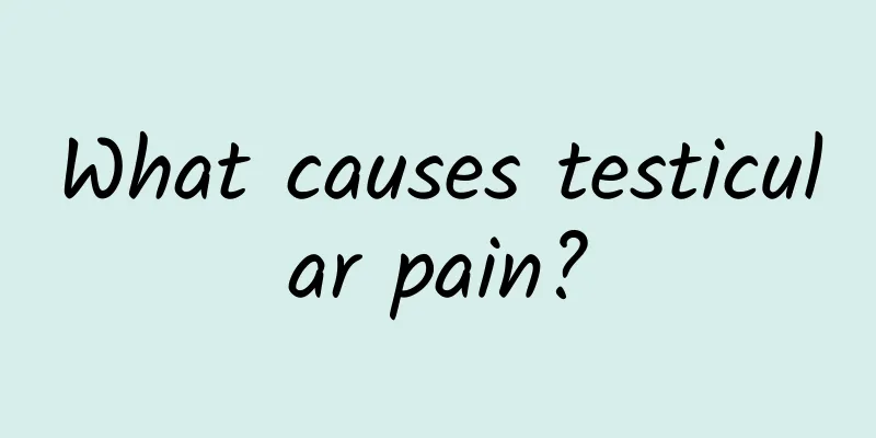 What causes testicular pain?