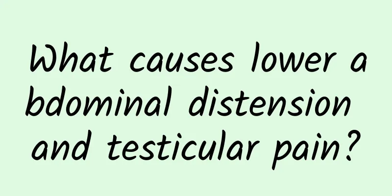 What causes lower abdominal distension and testicular pain?