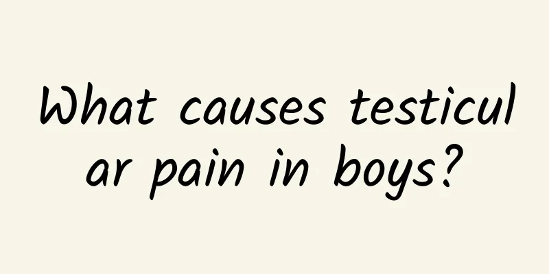 What causes testicular pain in boys?