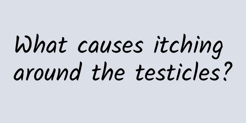 What causes itching around the testicles?