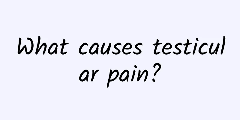 What causes testicular pain?