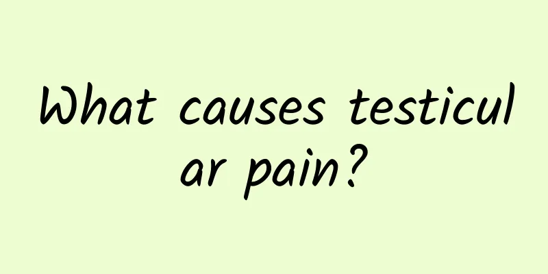What causes testicular pain?