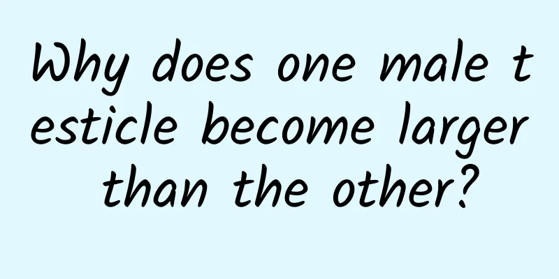 Why does one male testicle become larger than the other?