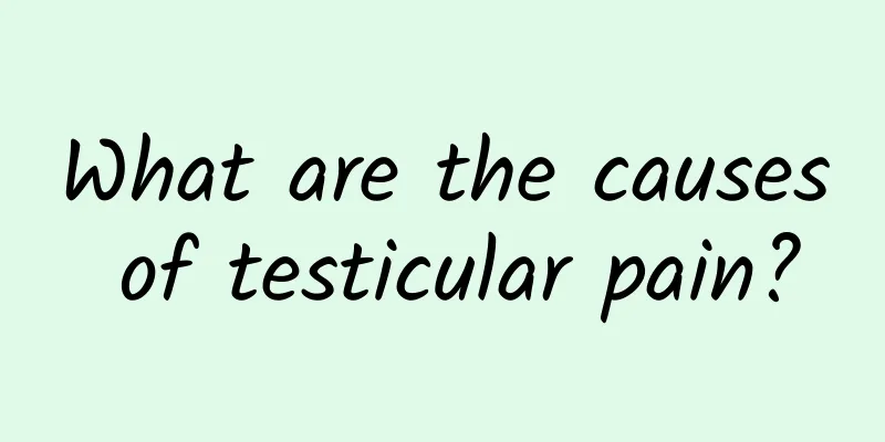 What are the causes of testicular pain?