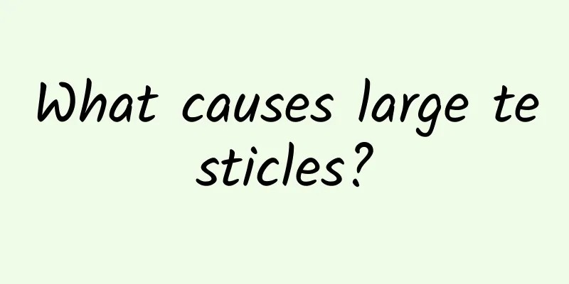 What causes large testicles?
