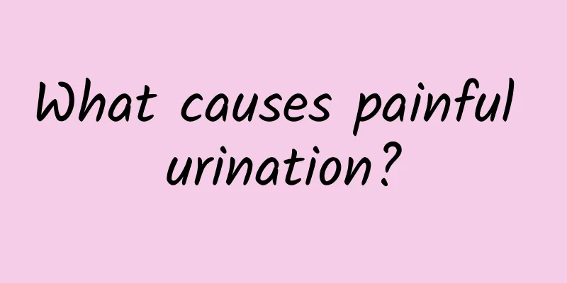 What causes painful urination?