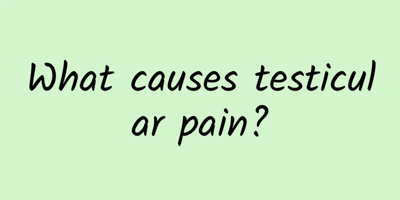 What causes testicular pain?