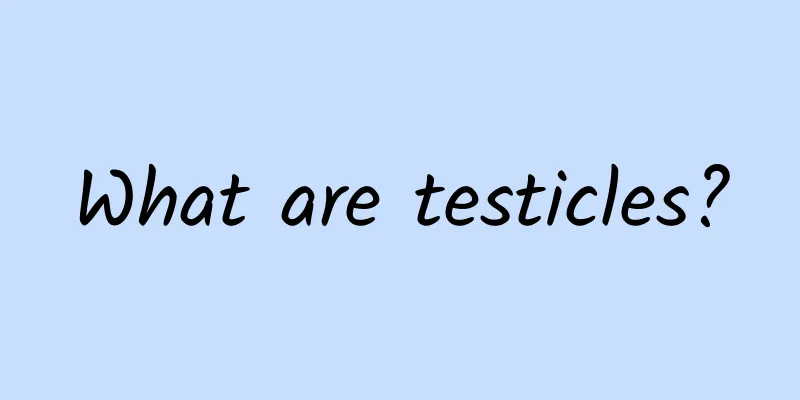 What are testicles?