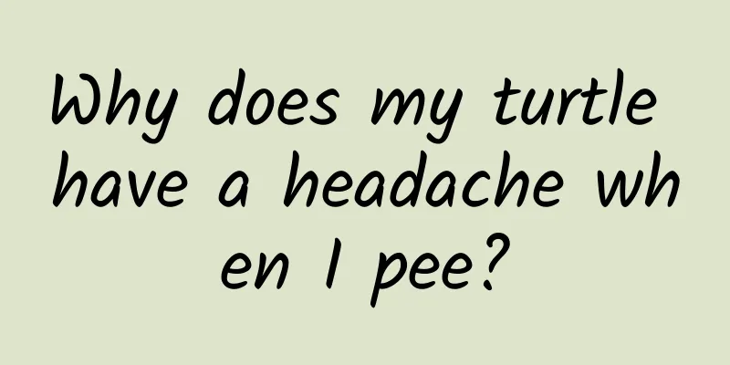 Why does my turtle have a headache when I pee?