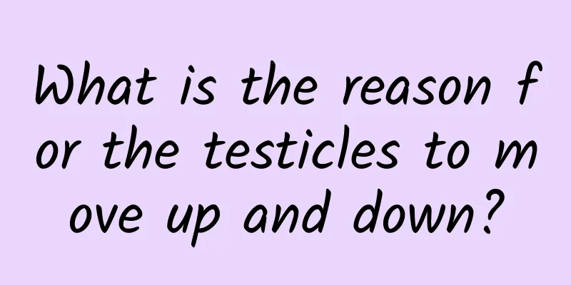 What is the reason for the testicles to move up and down?