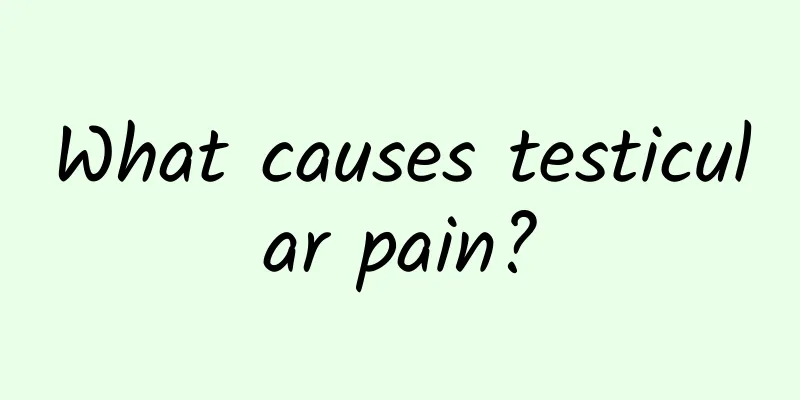 What causes testicular pain?