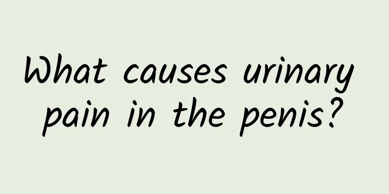 What causes urinary pain in the penis?