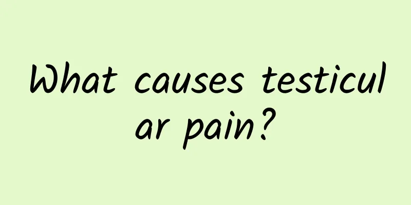 What causes testicular pain?