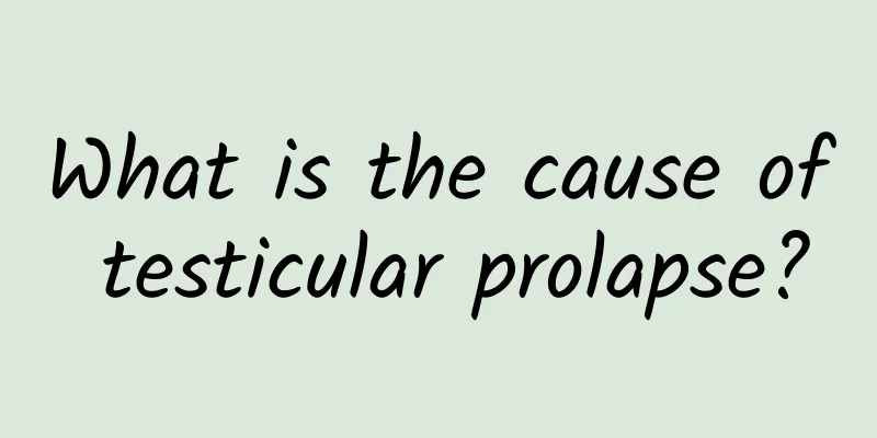 What is the cause of testicular prolapse?