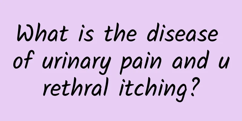 What is the disease of urinary pain and urethral itching?