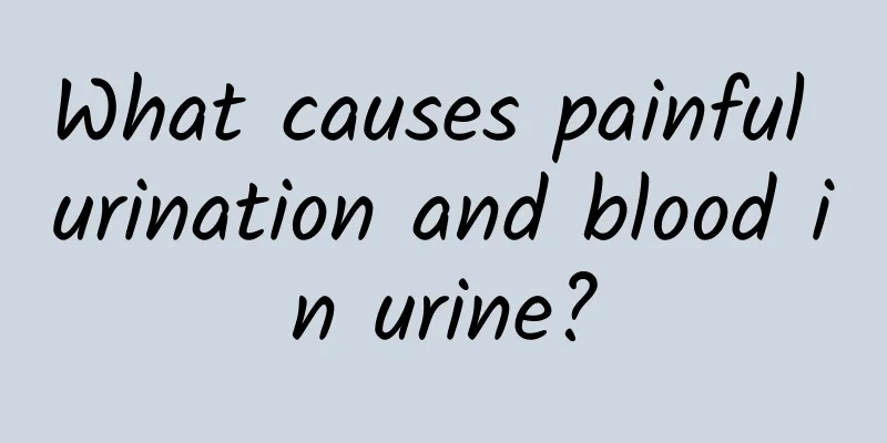 What causes painful urination and blood in urine?