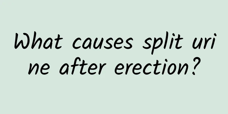 What causes split urine after erection?
