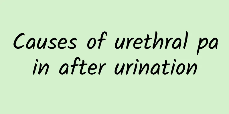 Causes of urethral pain after urination