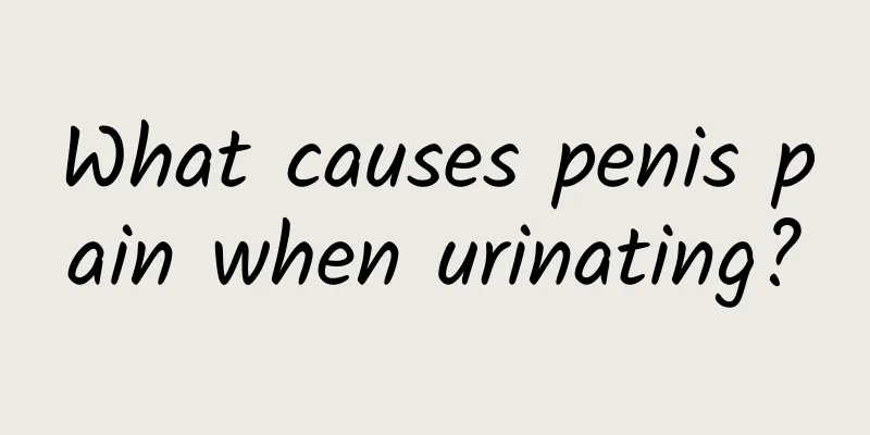 What causes penis pain when urinating?