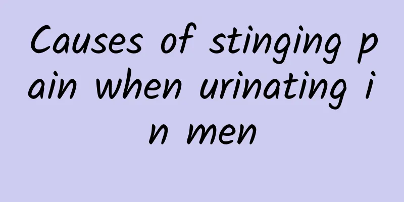 Causes of stinging pain when urinating in men