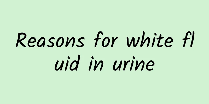 Reasons for white fluid in urine