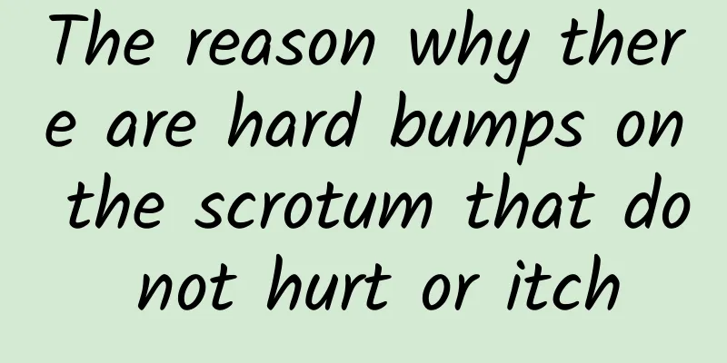 The reason why there are hard bumps on the scrotum that do not hurt or itch